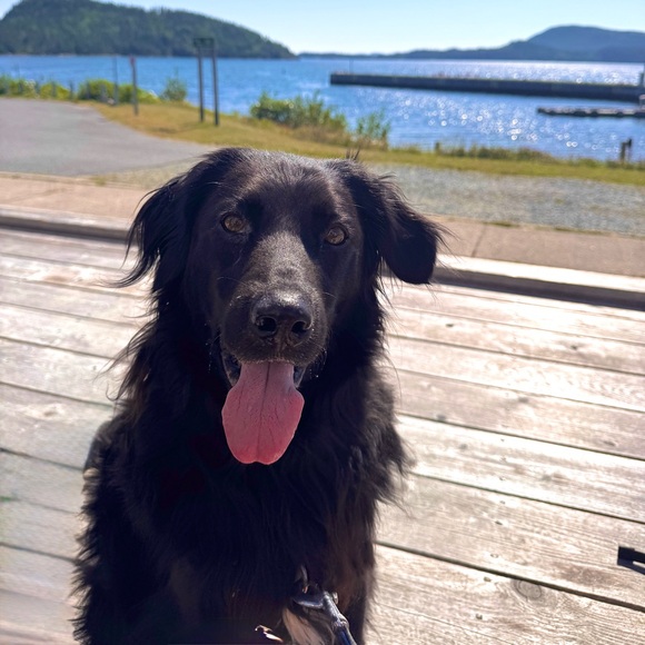 Meet your Posher, Rebekah - Picture 1 of 1